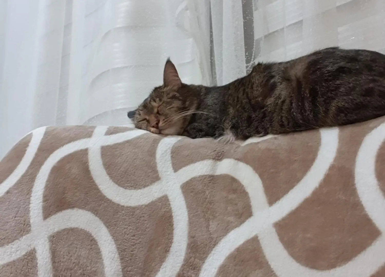 Авиценна Αστάνα Διαμέρισμα